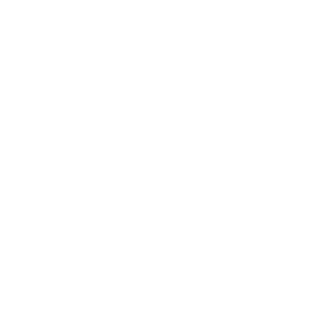 bistum-speyer-logo-white