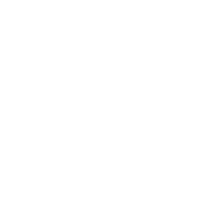 wdg-speyer-white